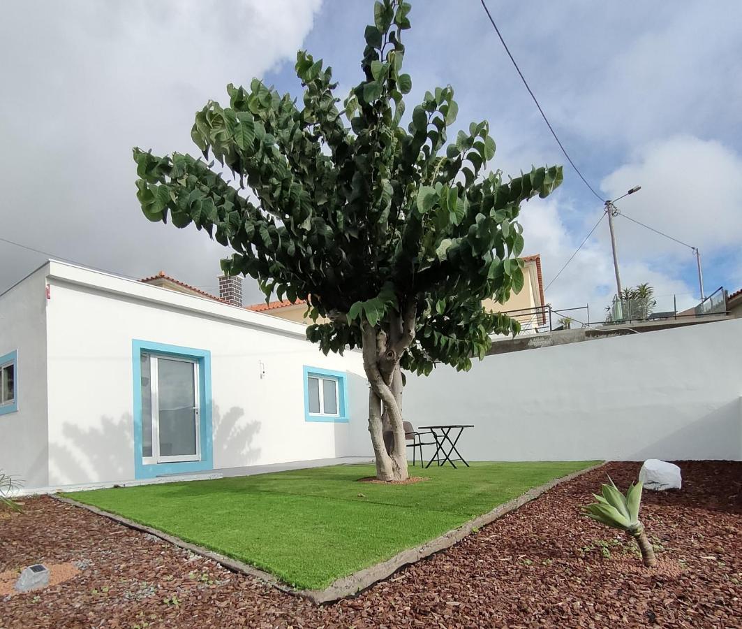 Madeira Blue House Villa กัลเลตา ภายนอก รูปภาพ